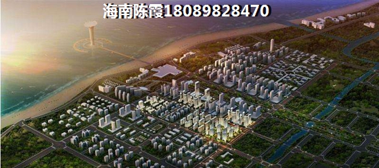 海口东海岸2023海口市东海岸小户型哪个纸得买